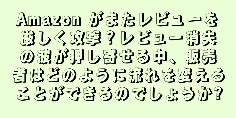 Amazon がまたレビューを厳しく攻撃？レビュー消失の波が押し寄せる中、販売者はどのように流れを変えることができるのでしょうか?
