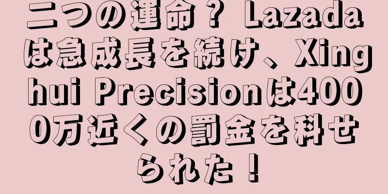 二つの運命？ Lazadaは急成長を続け、Xinghui Precisionは4000万近くの罰金を科せられた！