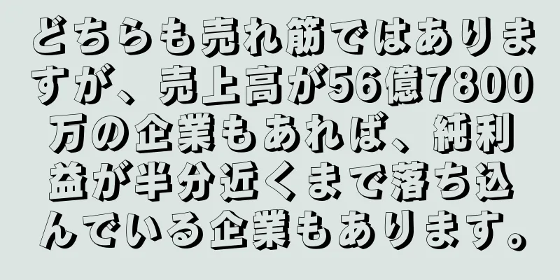 どちらも売れ筋ではありますが、売上高が56億7800万の企業もあれば、純利益が半分近くまで落ち込んでいる企業もあります。