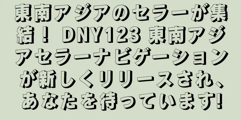 東南アジアのセラーが集結！ DNY123 東南アジアセラーナビゲーションが新しくリリースされ、あなたを待っています!