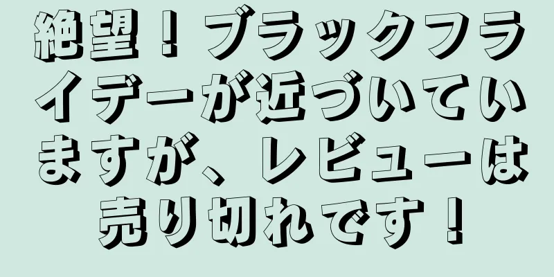 絶望！ブラックフライデーが近づいていますが、レビューは売り切れです！