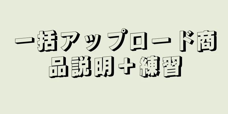 一括アップロード商品説明＋練習