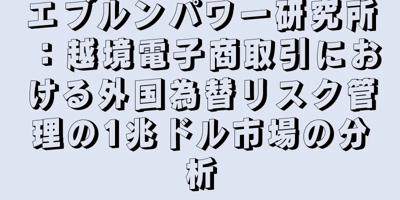 エブルンパワー研究所：越境電子商取引における外国為替リスク管理の1兆ドル市場の分析