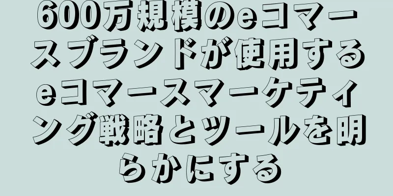 600万規模のeコマースブランドが使用するeコマースマーケティング戦略とツールを明らかにする