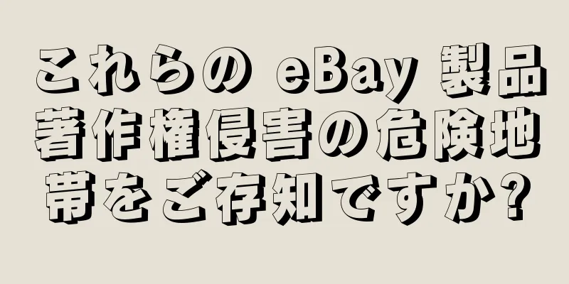 これらの eBay 製品著作権侵害の危険地帯をご存知ですか?