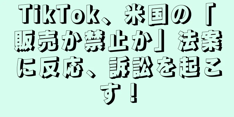 TikTok、米国の「販売か禁止か」法案に反応、訴訟を起こす！