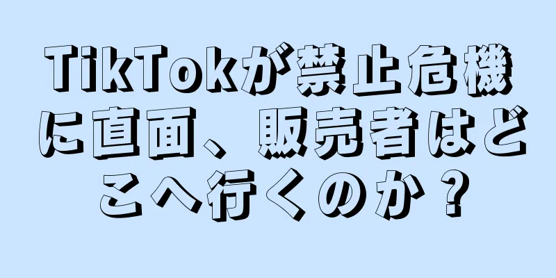 TikTokが禁止危機に直面、販売者はどこへ行くのか？