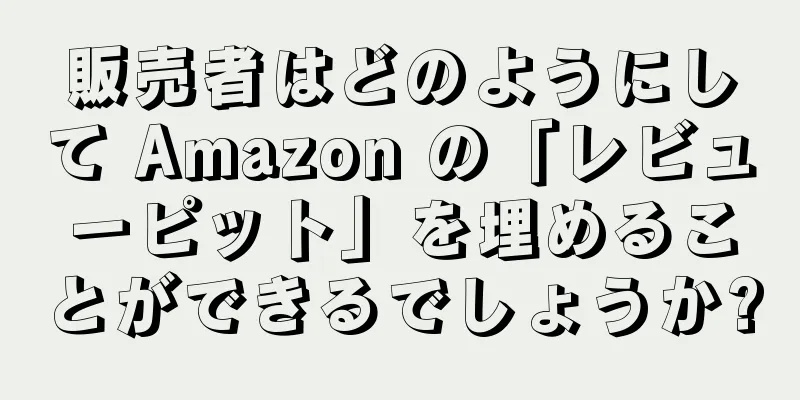 販売者はどのようにして Amazon の「レビューピット」を埋めることができるでしょうか?