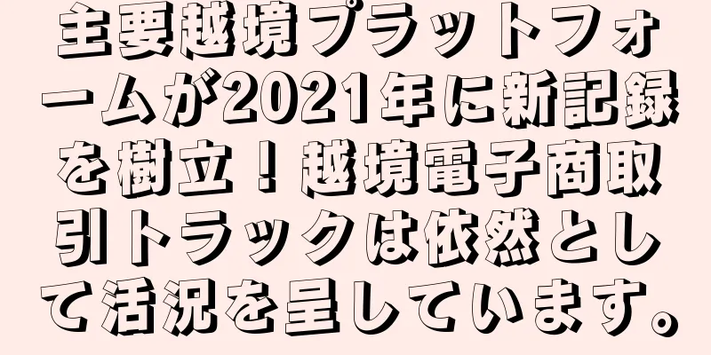 主要越境プラットフォームが2021年に新記録を樹立！越境電子商取引トラックは依然として活況を呈しています。