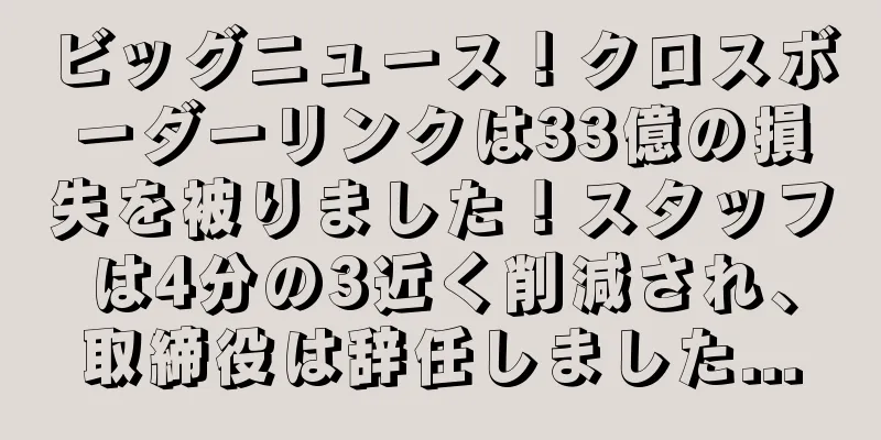 ビッグニュース！クロスボーダーリンクは33億の損失を被りました！スタッフは4分の3近く削減され、取締役は辞任しました...