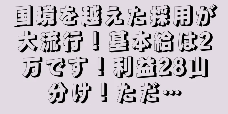 国境を越えた採用が大流行！基本給は2万です！利益28山分け！ただ…