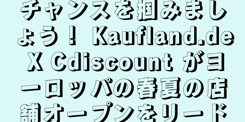 チャンスを掴みましょう！ Kaufland.de X Cdiscount がヨーロッパの春夏の店舗オープンをリード