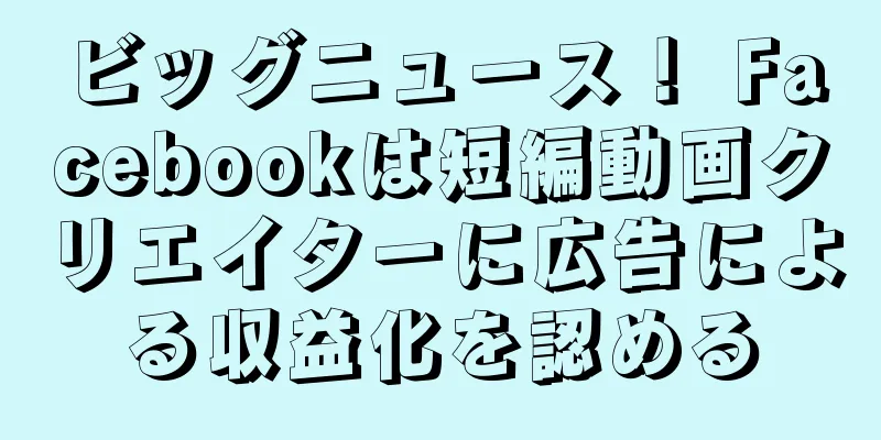 ビッグニュース！ Facebookは短編動画クリエイターに広告による収益化を認める