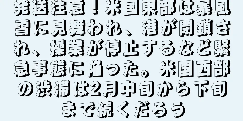 発送注意！米国東部は暴風雪に見舞われ、港が閉鎖され、操業が停止するなど緊急事態に陥った。米国西部の渋滞は2月中旬から下旬まで続くだろう