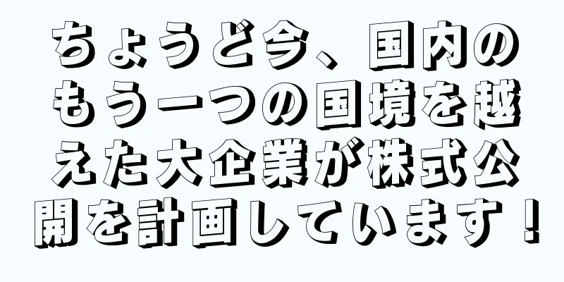ちょうど今、国内のもう一つの国境を越えた大企業が株式公開を計画しています！