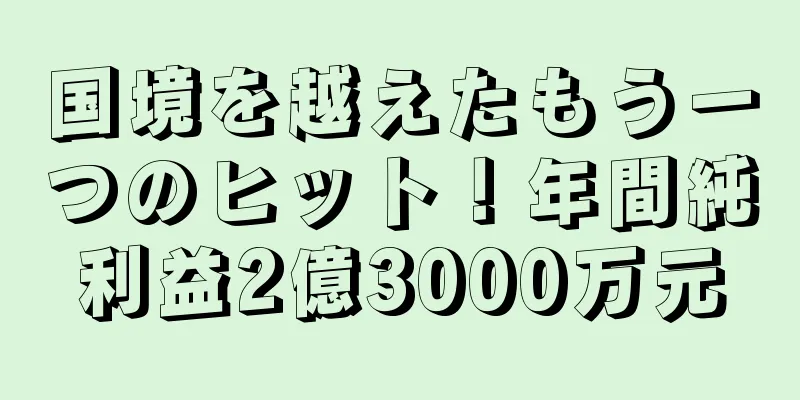 国境を越えたもう一つのヒット！年間純利益2億3000万元
