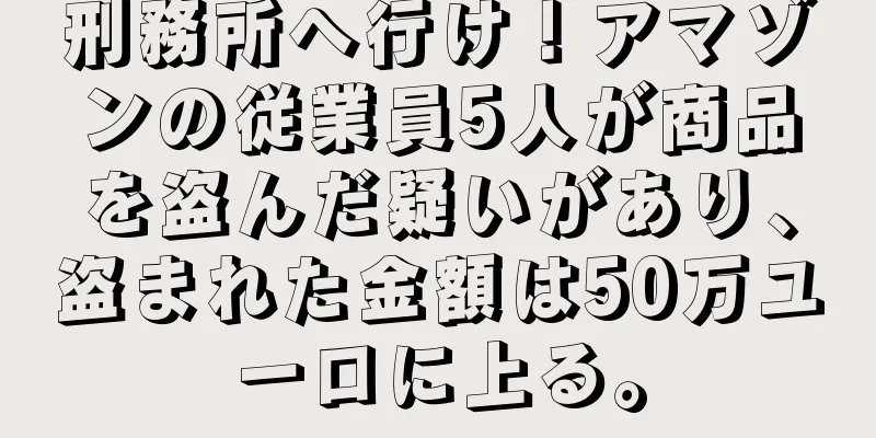 刑務所へ行け！アマゾンの従業員5人が商品を盗んだ疑いがあり、盗まれた金額は50万ユーロに上る。