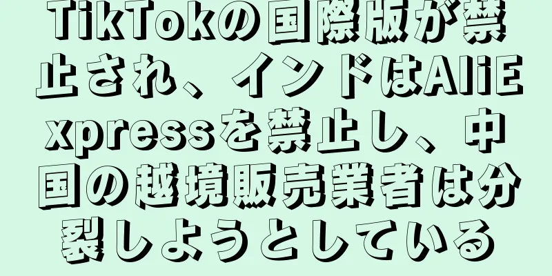 TikTokの国際版が禁止され、インドはAliExpressを禁止し、中国の越境販売業者は分裂しようとしている