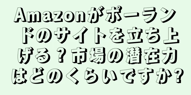 Amazonがポーランドのサイトを立ち上げる？市場の潜在力はどのくらいですか?