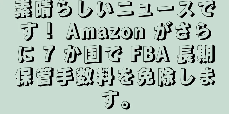 素晴らしいニュースです！ Amazon がさらに 7 か国で FBA 長期保管手数料を免除します。