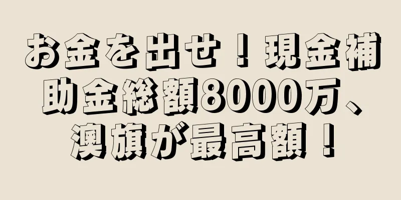お金を出せ！現金補助金総額8000万、澳旗が最高額！
