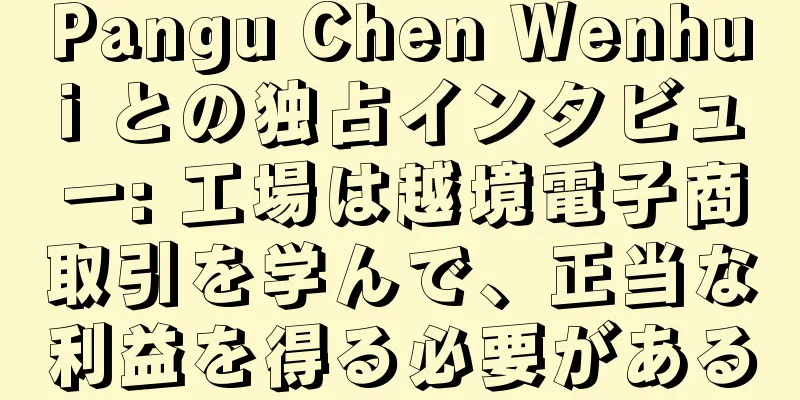 Pangu Chen Wenhui との独占インタビュー: 工場は越境電子商取引を学んで、正当な利益を得る必要がある