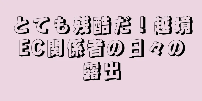 とても残酷だ！越境EC関係者の日々の露出