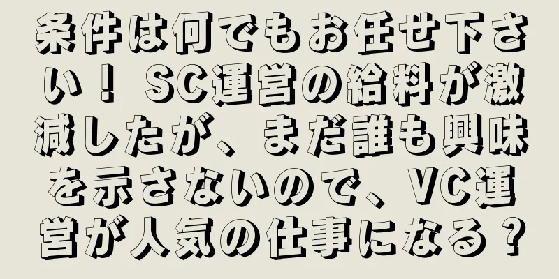 条件は何でもお任せ下さい！ SC運営の給料が激減したが、まだ誰も興味を示さないので、VC運営が人気の仕事になる？