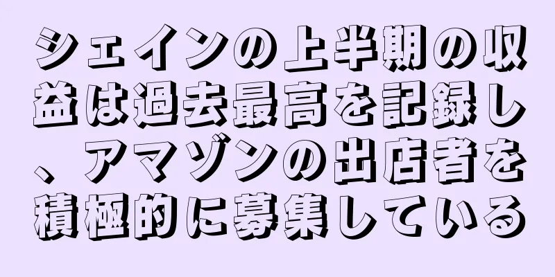 シェインの上半期の収益は過去最高を記録し、アマゾンの出店者を積極的に募集している