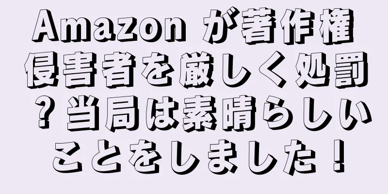 Amazon が著作権侵害者を厳しく処罰？当局は素晴らしいことをしました！
