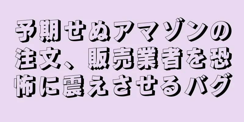 予期せぬアマゾンの注文、販売業者を恐怖に震えさせるバグ