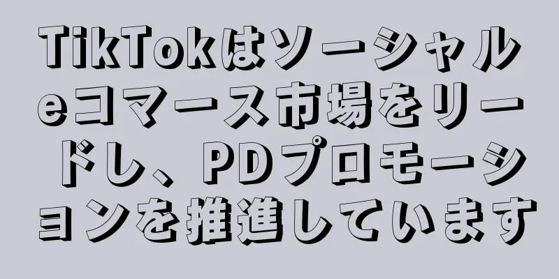 TikTokはソーシャルeコマース市場をリードし、PDプロモーションを推進しています