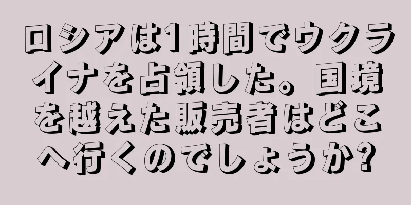 ロシアは1時間でウクライナを占領した。国境を越えた販売者はどこへ行くのでしょうか?