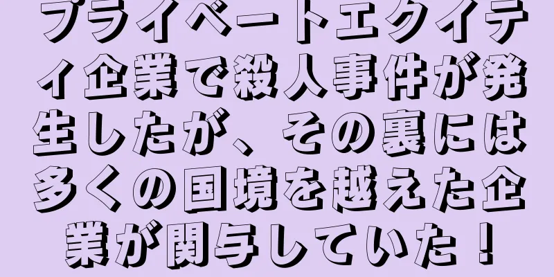 プライベートエクイティ企業で殺人事件が発生したが、その裏には多くの国境を越えた企業が関与していた！
