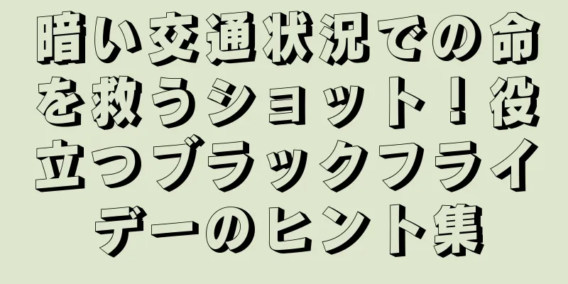 暗い交通状況での命を救うショット！役立つブラックフライデーのヒント集