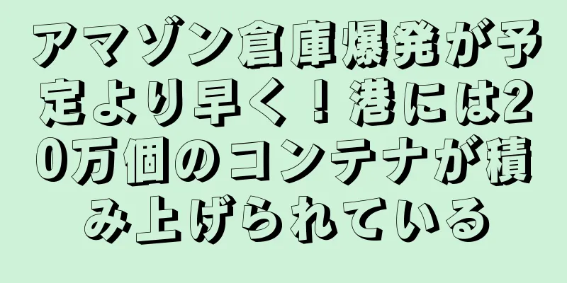 アマゾン倉庫爆発が予定より早く！港には20万個のコンテナが積み上げられている