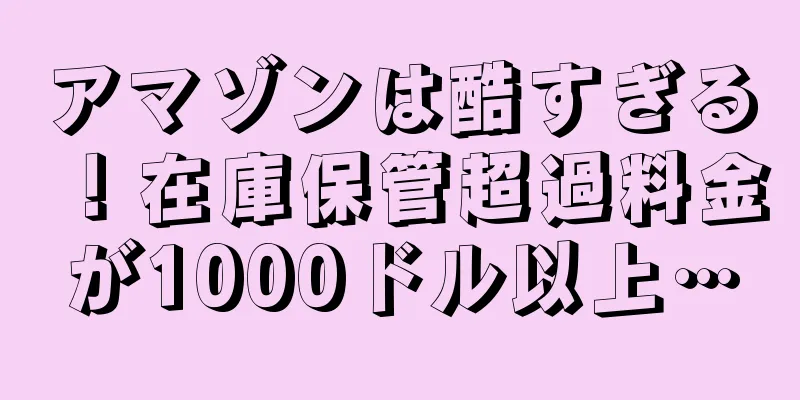 アマゾンは酷すぎる！在庫保管超過料金が1000ドル以上…