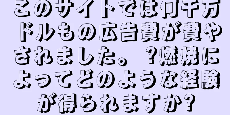 このサイトでは何千万ドルもの広告費が費やされました。 ?燃焼によってどのような経験が得られますか?