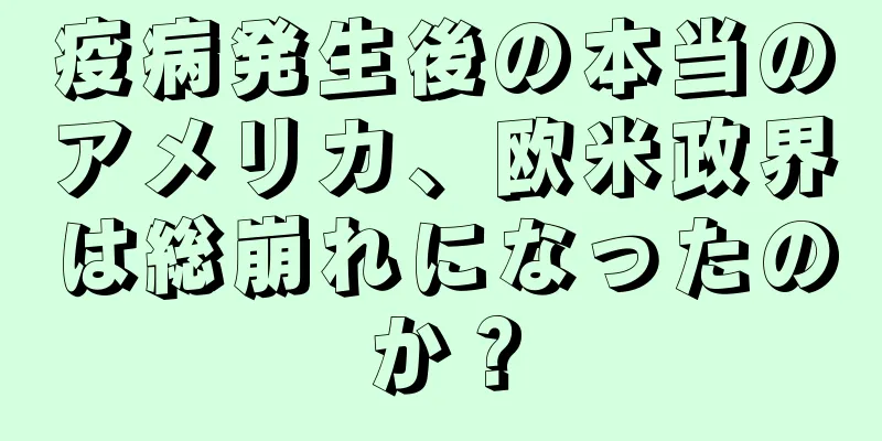 疫病発生後の本当のアメリカ、欧米政界は総崩れになったのか？