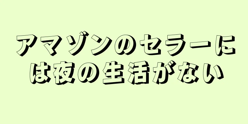 アマゾンのセラーには夜の生活がない