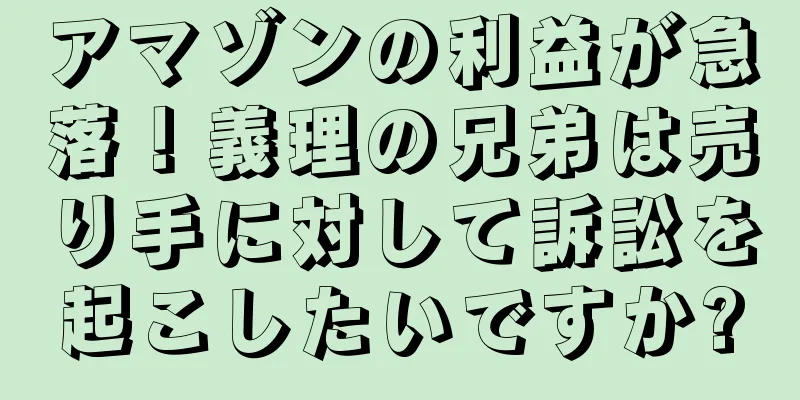 アマゾンの利益が急落！義理の兄弟は売り手に対して訴訟を起こしたいですか?
