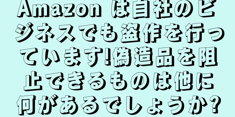 Amazon は自社のビジネスでも盗作を行っています!偽造品を阻止できるものは他に何があるでしょうか?