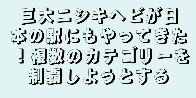 巨大ニシキヘビが日本の駅にもやってきた！複数のカテゴリーを制覇しようとする