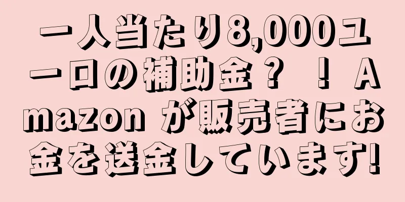 一人当たり8,000ユーロの補助金？ ！ Amazon が販売者にお金を送金しています!