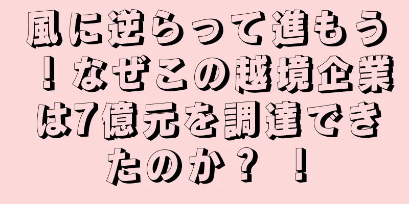風に逆らって進もう！なぜこの越境企業は7億元を調達できたのか？ ！