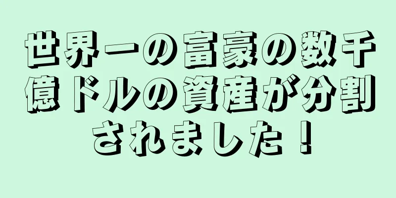 世界一の富豪の数千億ドルの資産が分割されました！