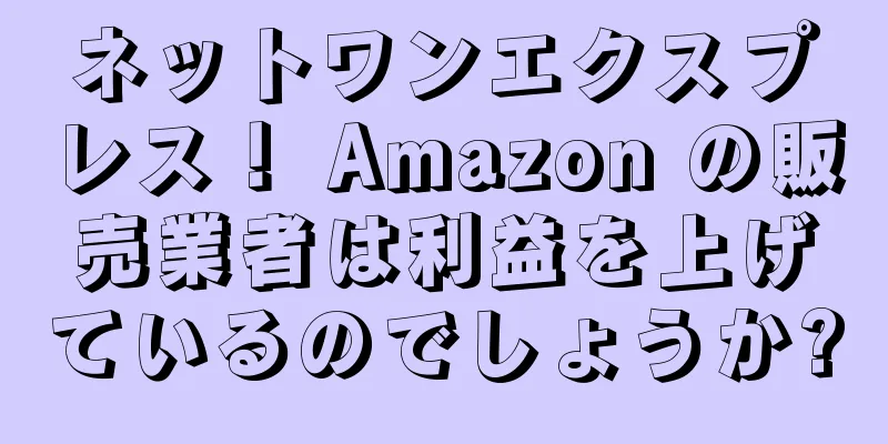 ネットワンエクスプレス！ Amazon の販売業者は利益を上げているのでしょうか?