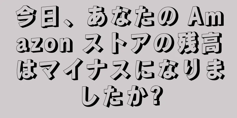 今日、あなたの Amazon ストアの残高はマイナスになりましたか?