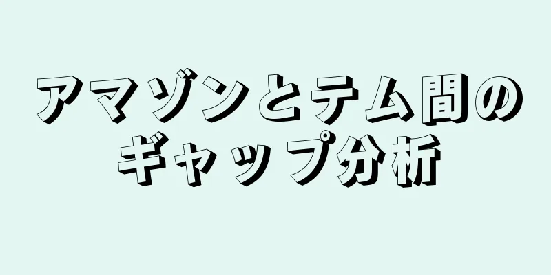 アマゾンとテム間のギャップ分析