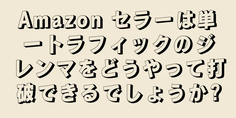 Amazon セラーは単一トラフィックのジレンマをどうやって打破できるでしょうか?